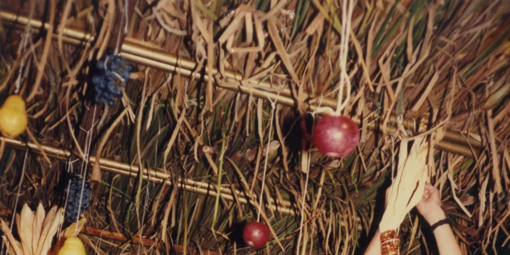 1x1_Sukkah