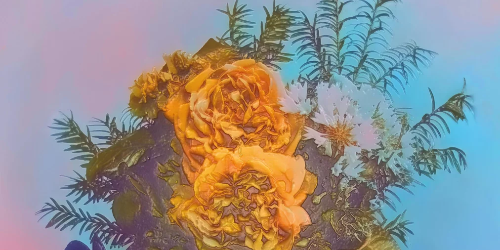 Blume_1