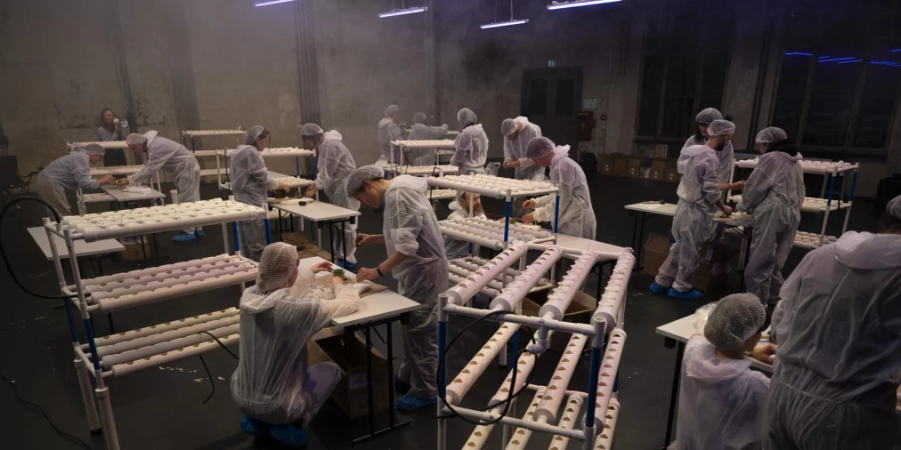 Numerous people in white protective suits are spread across a large room, placing small plant pieces into a hydroponic PVC system. Multi-level pipe constructions are visible in the foreground.