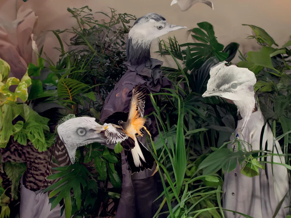 2Kareth Schaffer Bird Dances_Newsletter