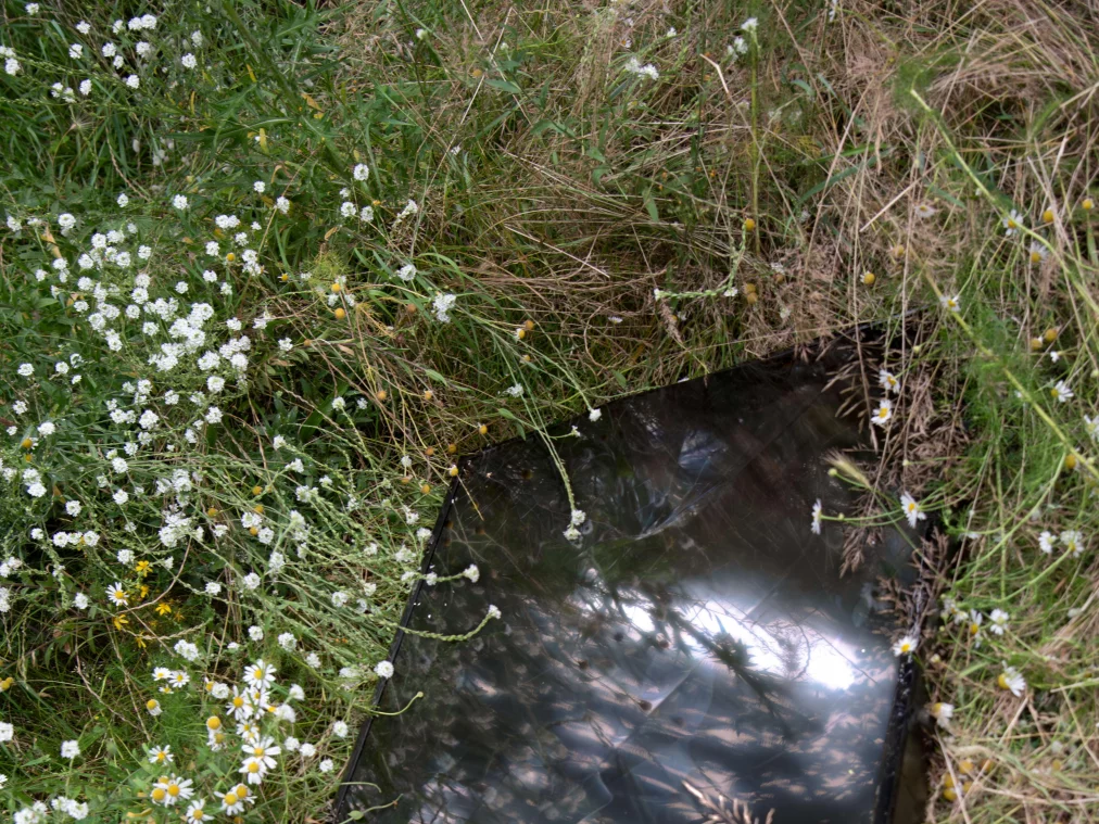 Rechteckiger, schwarzer Fernsehbildschirm liegt im hohen Gras, umgeben von kleinen weißen Blüten, mit Spiegelungen von Himmel und Pflanzen auf der Oberfläche.