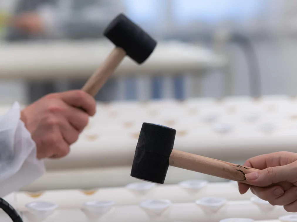 Two hands holding black rubber mallets touch in a bright room. In the background, white tubes with small plant containers are visible.