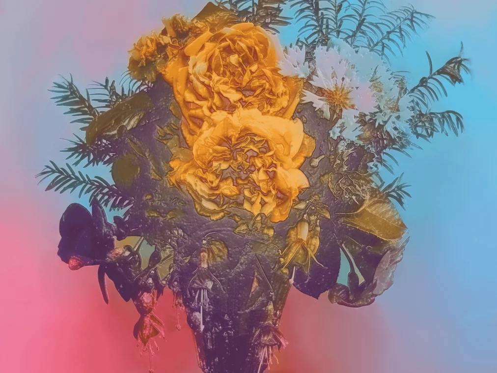 Ein Strauß mit großen orangefarbenen und weißen Blüten steht in einer Vase, umgeben von dunklem Blattwerk und einem Hintergrund in Rosa und Blau.