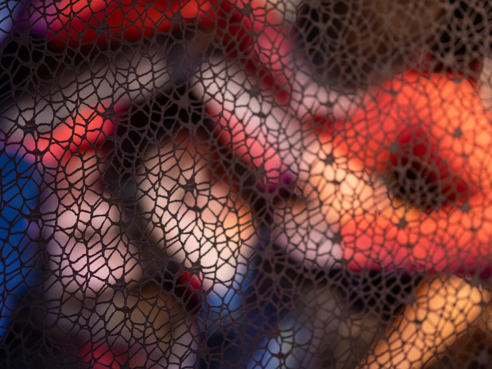 Ein feines, dunkles Netz füllt den Vordergrund des Bildes. Dahinter sind unscharfe Farbfelder in Rot, Blau, Beige und Orange zu erkennen, die an Körper und Stoffe erinnern.