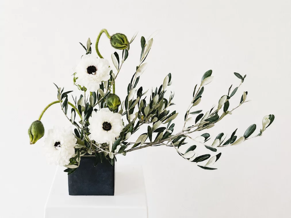 Ikebana-Arrangement in einem schwarzen quadratischen Gefäß: drei weiße Anemonen mit dunklem Zentrum, grüne Mohnknospen und ausladende Olivenzweige. Heller Hintergrund.