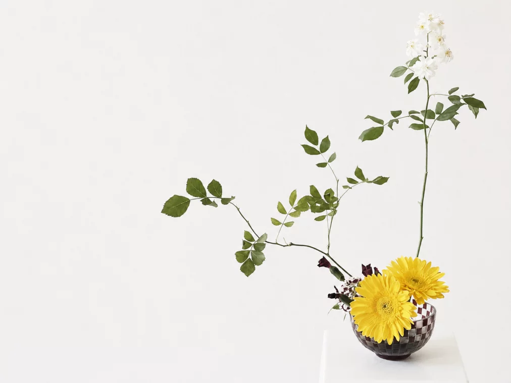 Ikebana-Arrangement in einer kleinen karierten Schale: zwei gelbe Gerbera-Blüten, dazu ein langer, geschwungener Rosenzweig mit grünen Blättern und einer weißen Blütentraube an der Spitze. Heller Hintergrund.