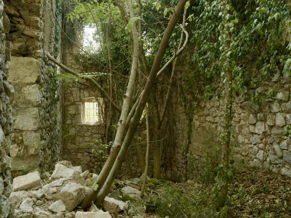 The interior of a roofless stone ruin, overgrown with ivy and slender trees. Rubble and leaves cover the ground. A small barred window sits in the back wall, and daylight falls through the leaves from above.