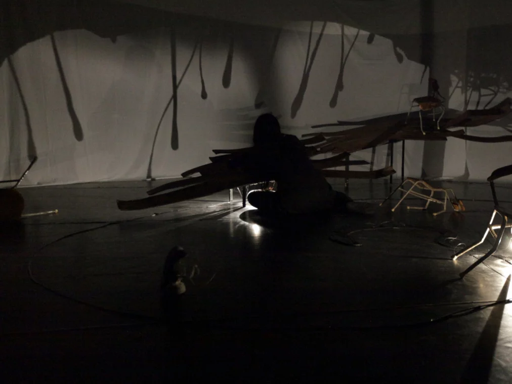 naoko_tanaka_c_finn_leon_cam_hp