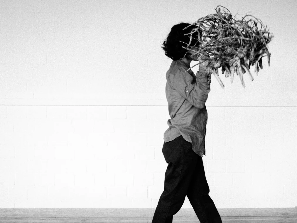 the_root_luca_s_hp_3