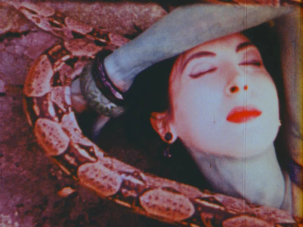 normal-love_c_-jack-smith-archive-hp