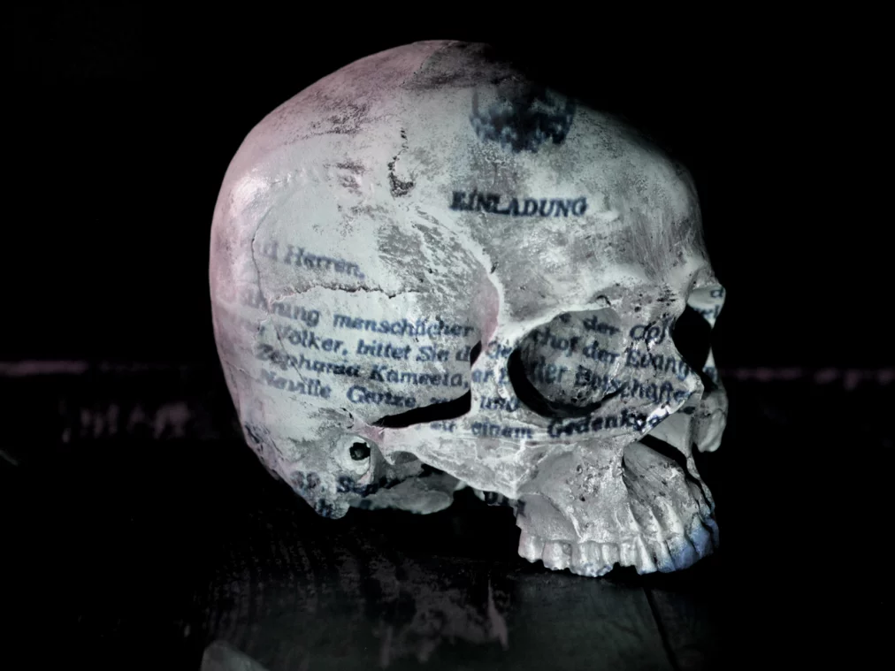 sch--del-x2_foto_julia-gechterhp