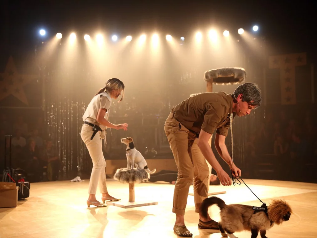 greatest_show_quesne_anjabeutler.de_0661_hp