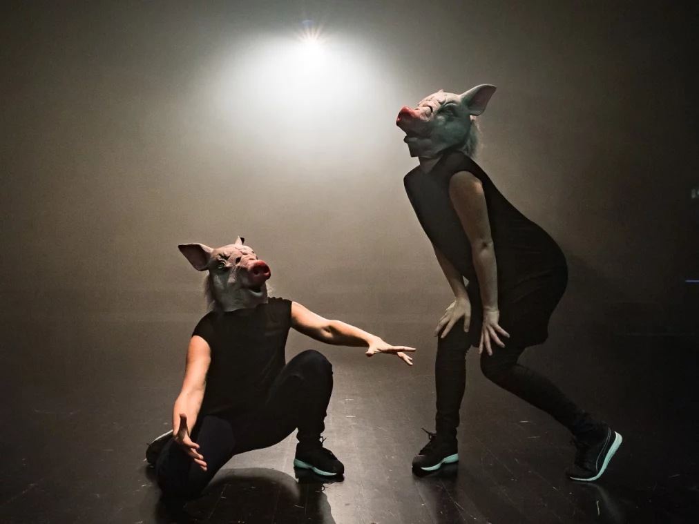 roc-0183-20160913_hp