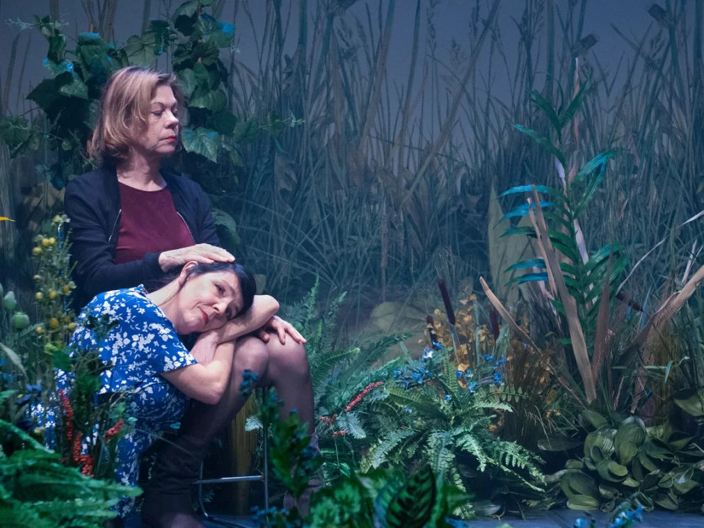 metamorphosen_c_lukasacton_hp