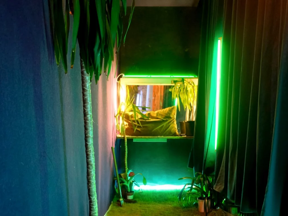 sturm_c_thilo-m--ssner_hp