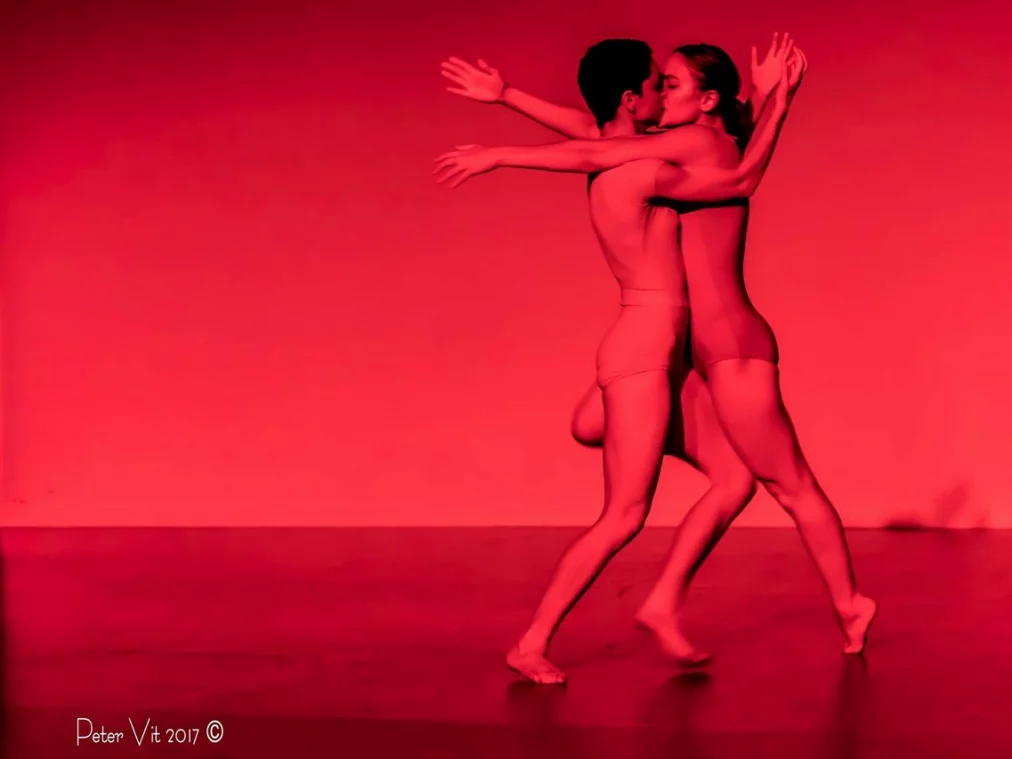 a_ido-gidron_c_peter-vit_hp