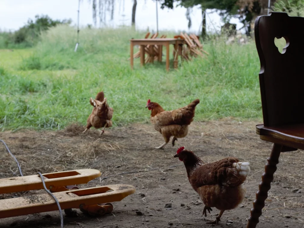 land_c_fabian-steinhauer_hp