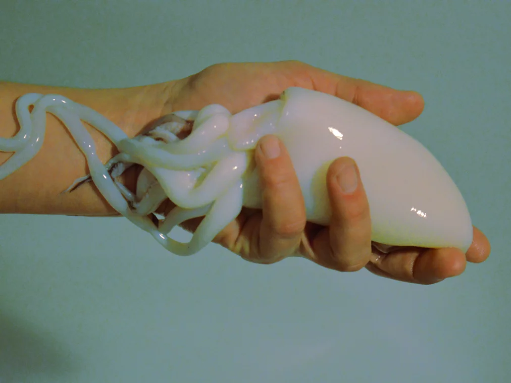 SEPIA_c_Jana Sotzko und Annegret Schalke_HP