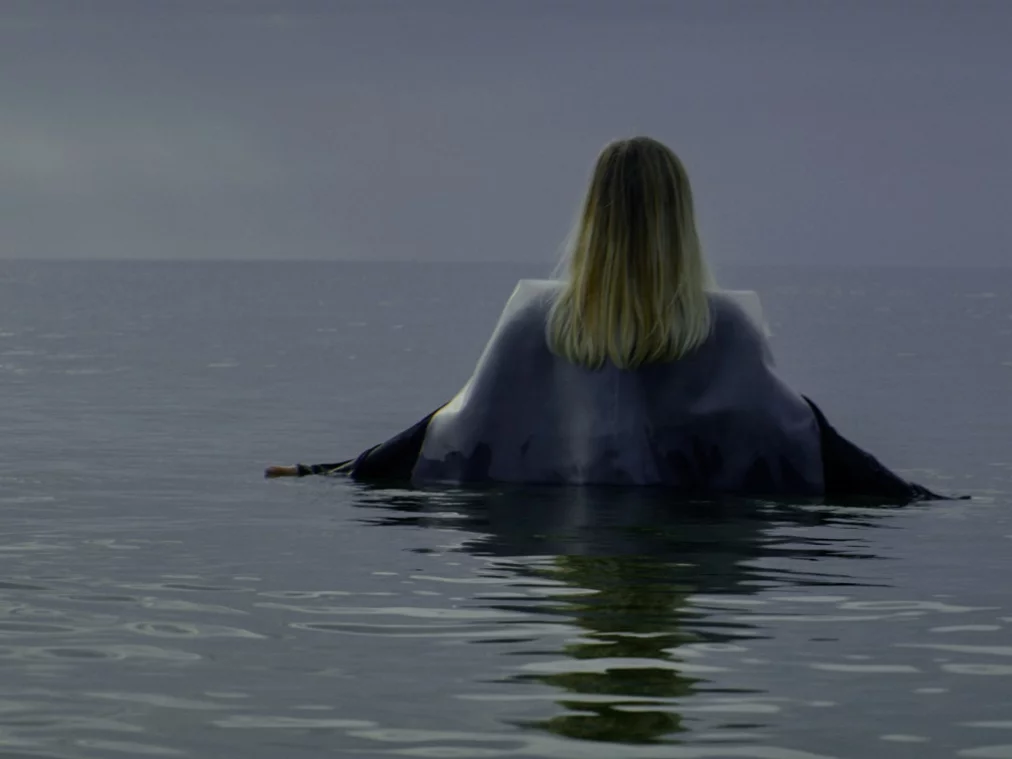 fiasko_c_dino-osmanovic_hp---kopie