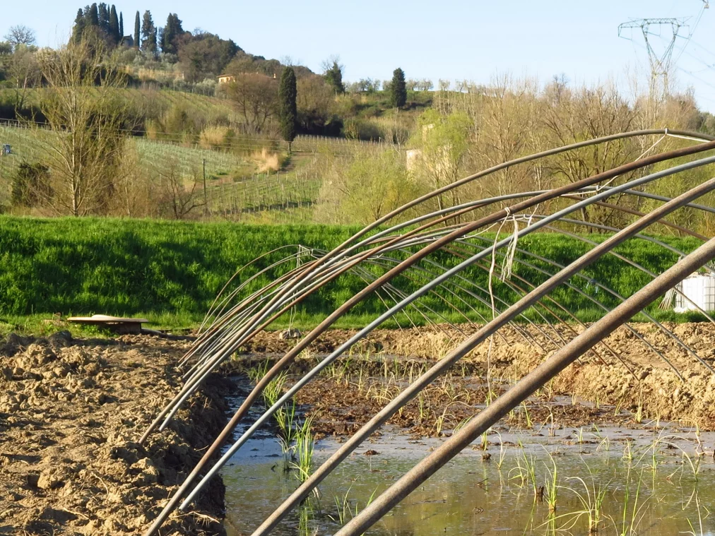 ToskaChina_c_Leone Contini3