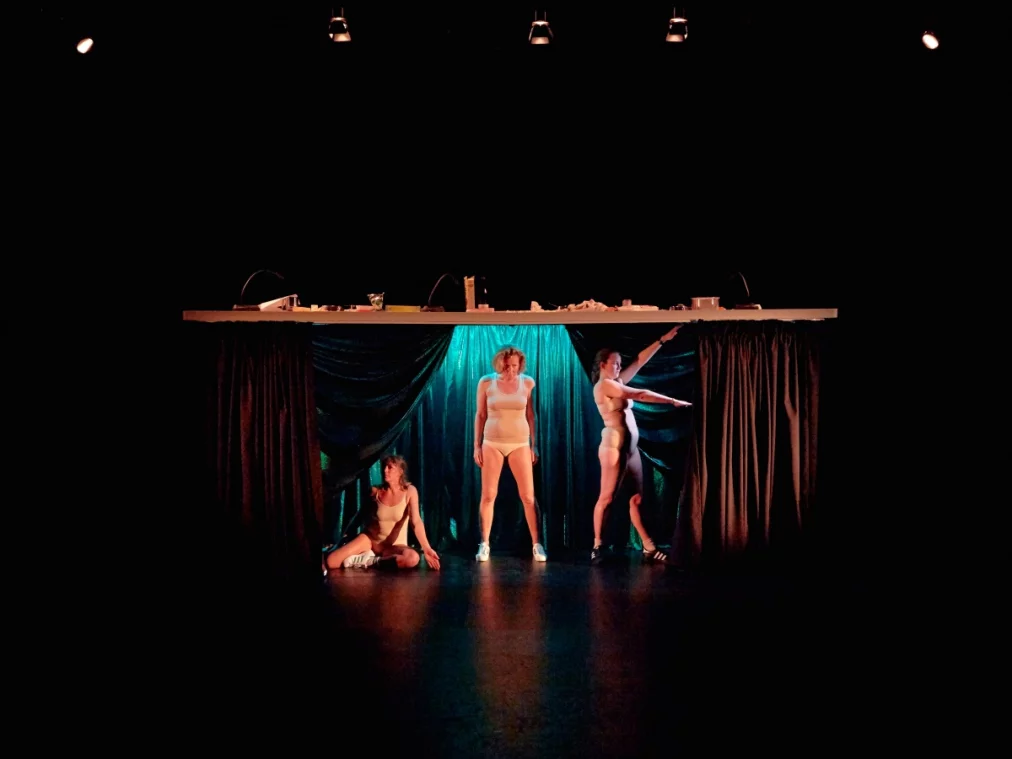 Wild Bore_Malthouse Theatre_Tim Grey Photography_HP