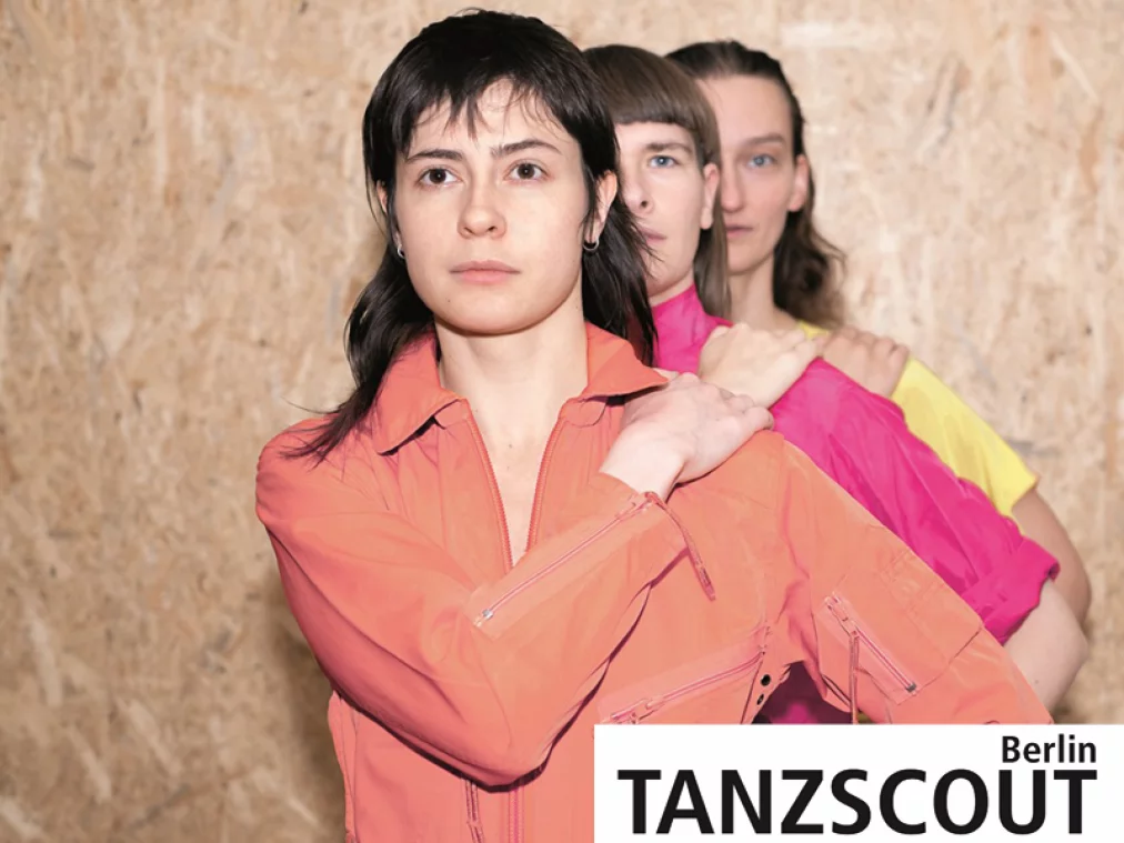 Tanzscout-Einführung_Flush