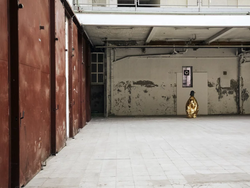 Daniel DominguezTeruel©Laura Léglise_HP