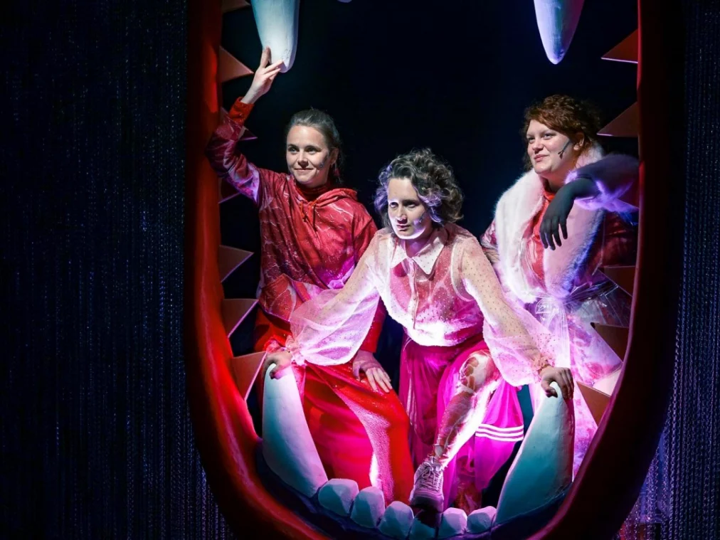 FRESSEN_wytyczak_web-3_HP