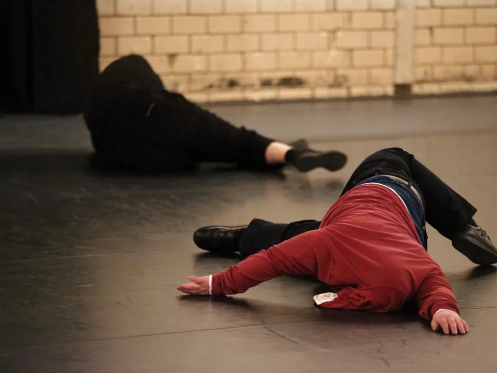 S.Asentic_Dis_Sylphide_AnjaBeutler.de_331_HP