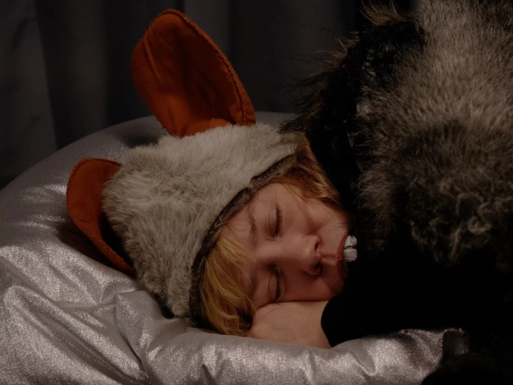 Sleeping Duties_c_Dietmar Schmidt_HP