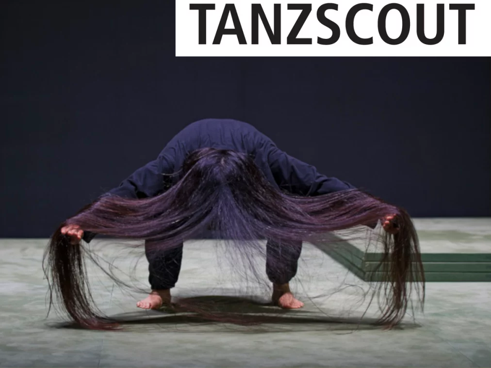 Fur_c_Dieter Hartwig_Tanzscout