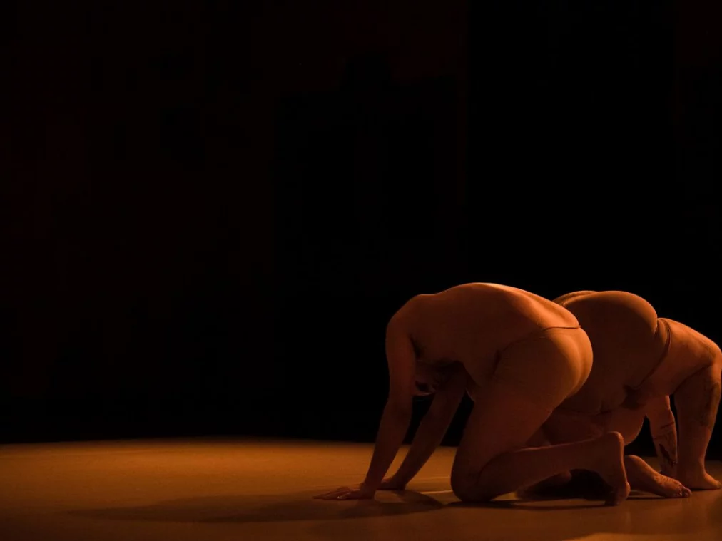 Thank you for your effort_c_Xiaofu Wang 2_HP