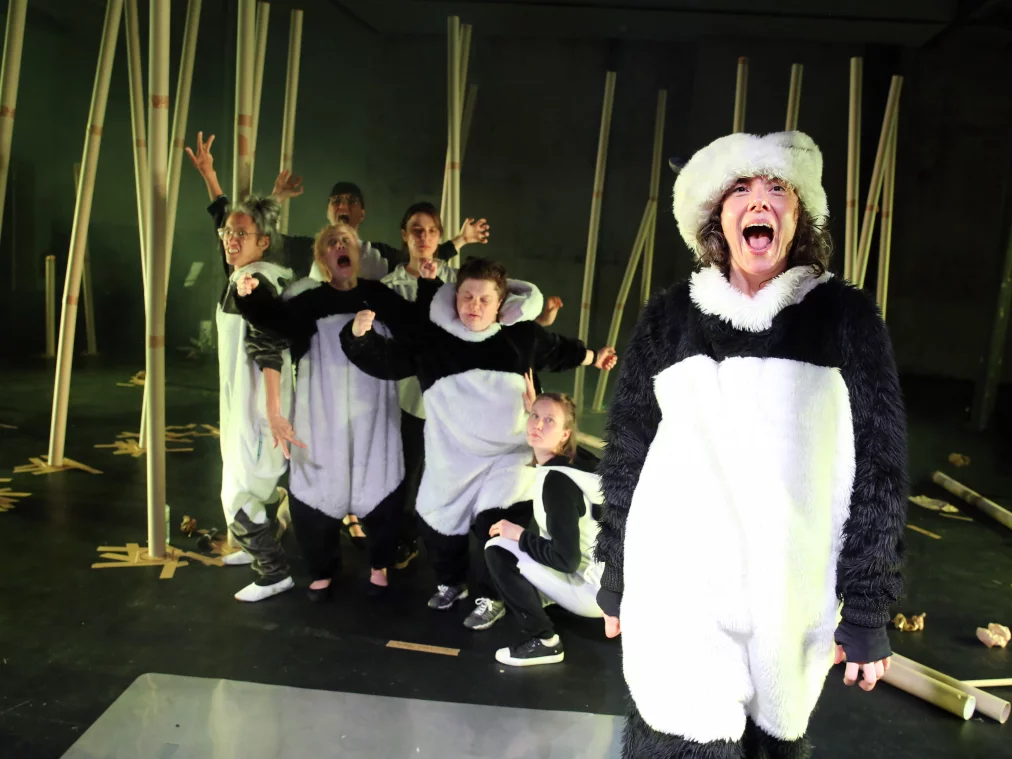 PandaPussies_©DorotheaTuch_9540