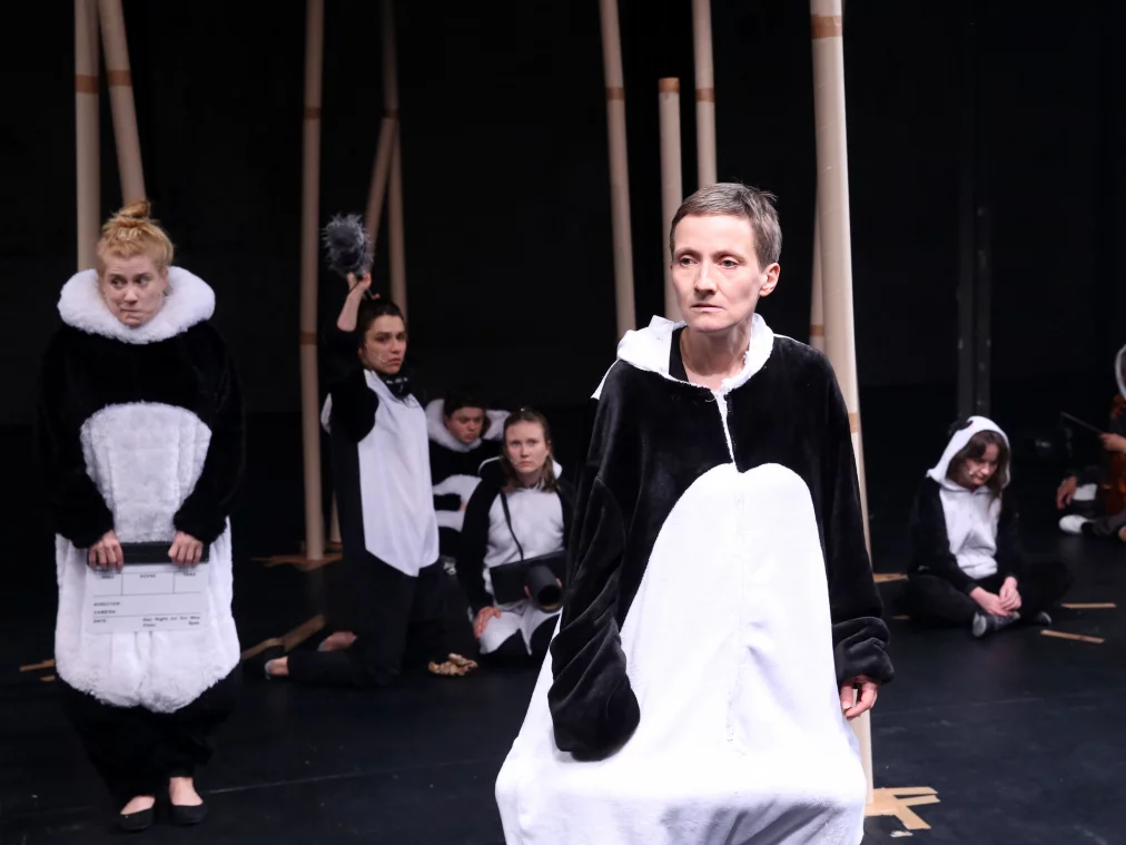 PandaPussies_©DorotheaTuch_8849