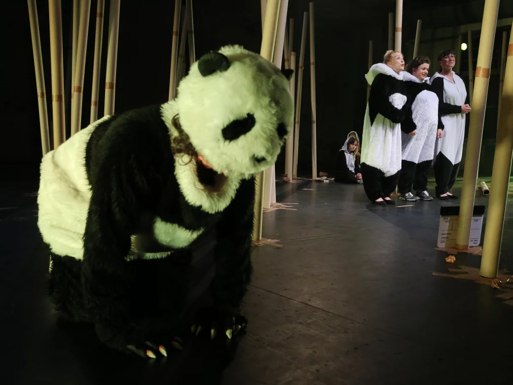 PandaPussies_©DorotheaTuch_8901