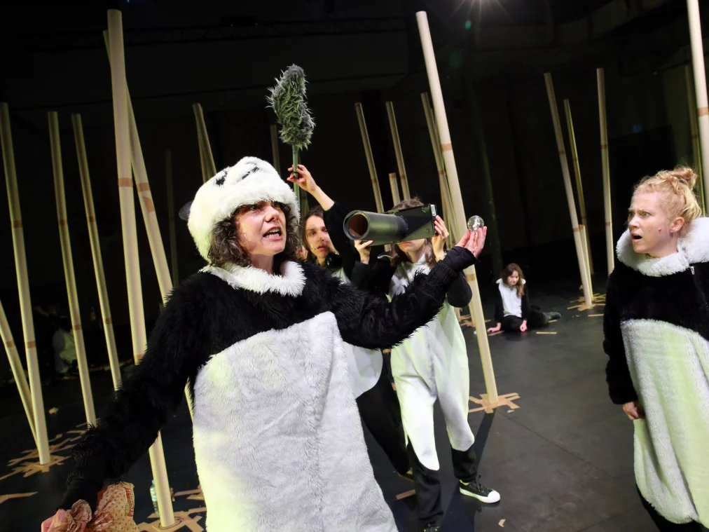 PandaPussies_©DorotheaTuch_8991