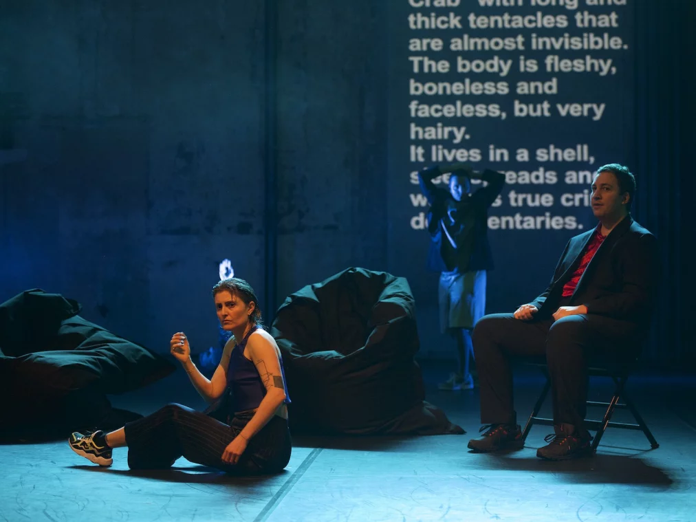 Dis Contact_c_Dieter Hartwig 7