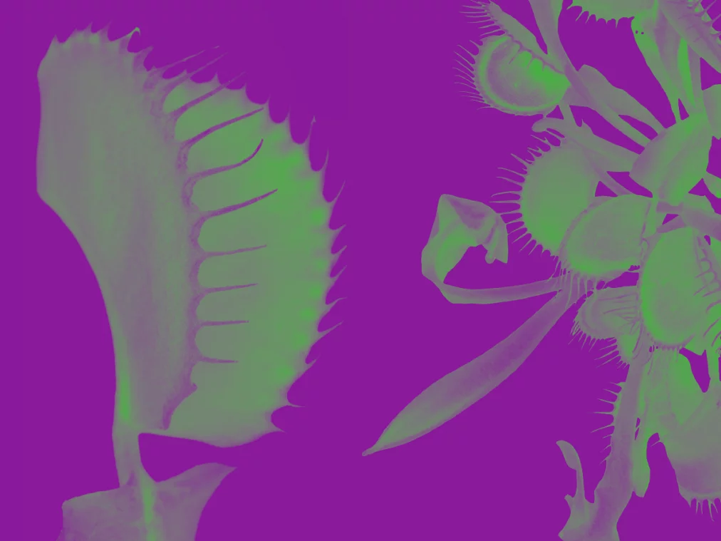 Homepage_Platzhalter 2