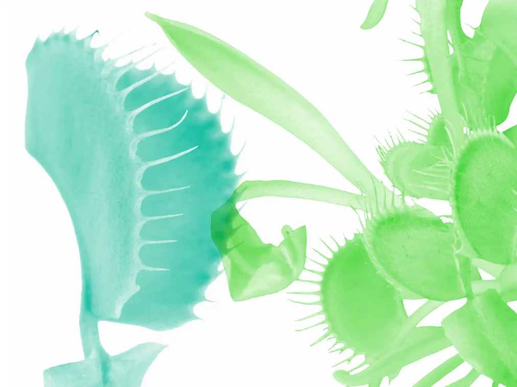 Homepage_Platzhalter