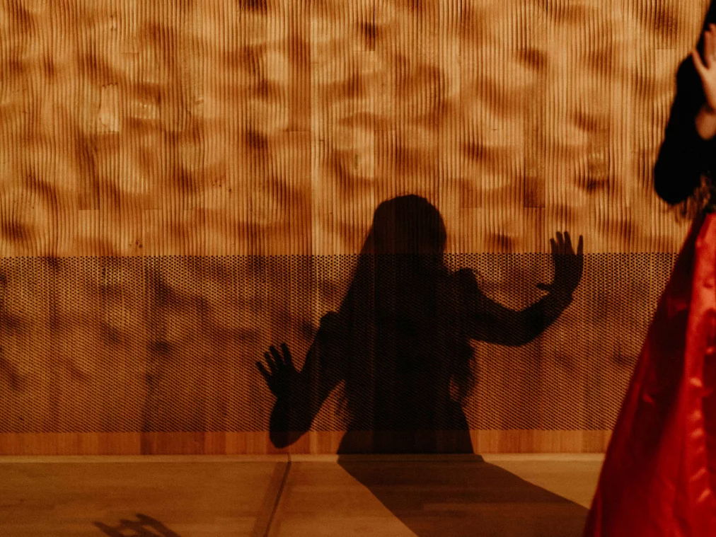 LeylaYenirce_Foto_Sophie Wolter @Elbphilharmonie_FS208249