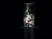 Doris Uhlich_TANK_c Katja Illner 20190312-164551_HP