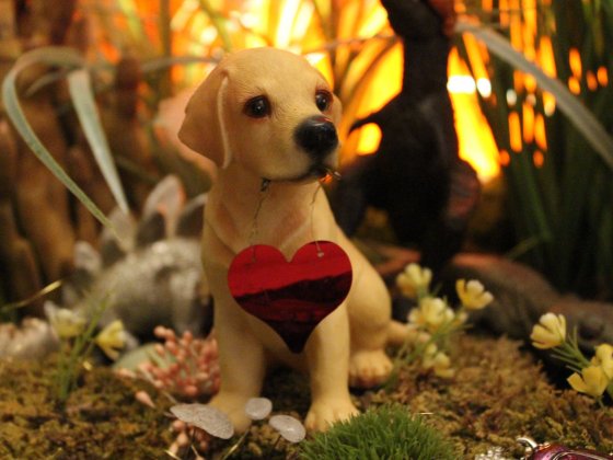 Eine Figur von einem Hund, der goldig erwartungsvoll guckt. Mit den Maul hält er ein rotes Schild in der Form eines Herzen. Er sitzt zwischen Moos und Blumen. Hinter ihm Gräser in glühendem Licht. 